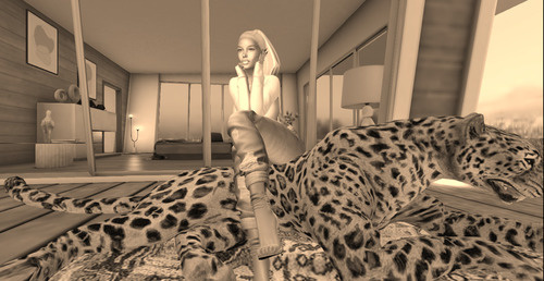 Web 63ff6091ed05c45d362d26bb