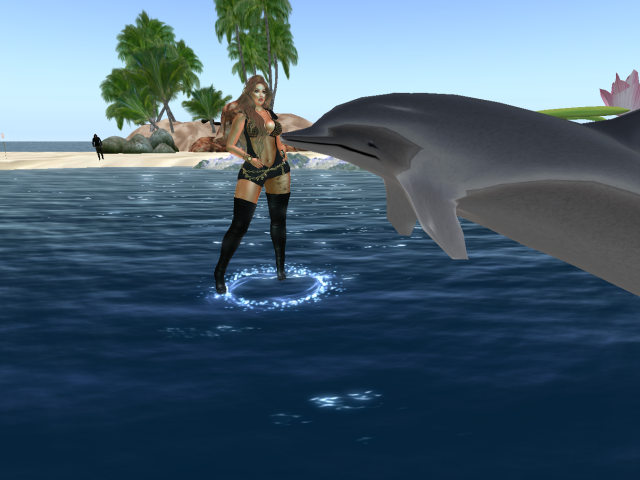 Original 5744e289b015407641000001