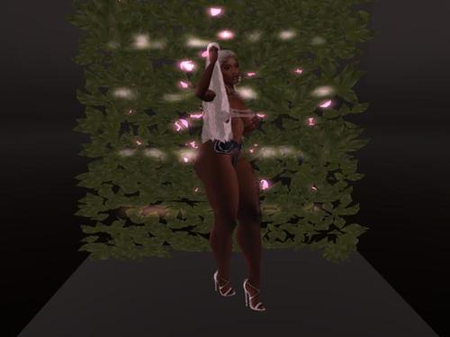 Web 5d9c85a8d9859c18c4000001