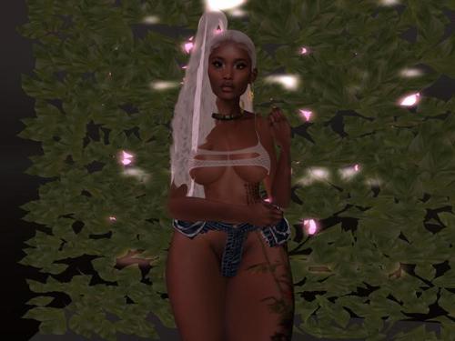 Web 5d9c886873ed172bdc000001