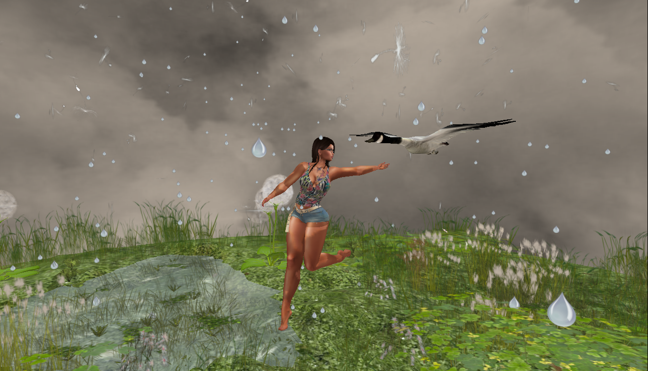 Original 5e1b81b0289dd2308b977e46