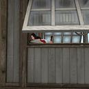 Thumb 59a9b0dbd774f808c0000001