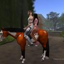 Thumb 5d780784d774f81b29000001