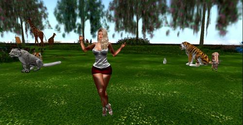 Web 59deb9c4d9859c4eba000001