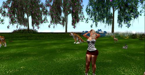 Web 59deba0a73ed173706000001