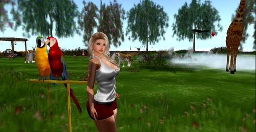 Web 59dec0c7d774f80eac000001