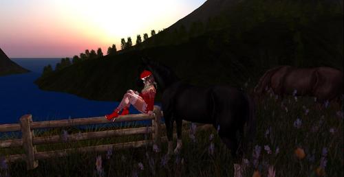 Web 5a2ca95fd9859c6a17000001