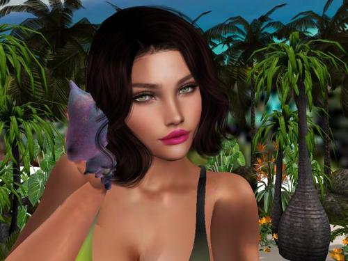 Web 5d853ab9289dd221c7000001