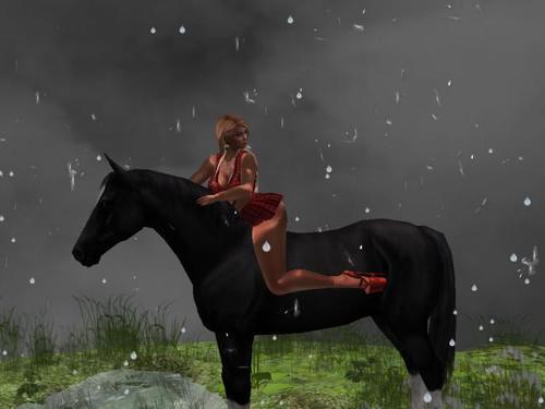 Web 5df4602ad774f85c2765e464