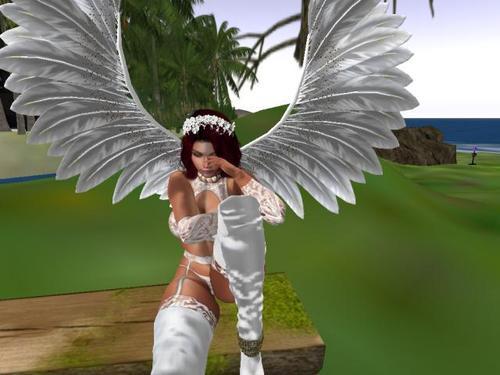 Web 5e13e928289dd241f3903354