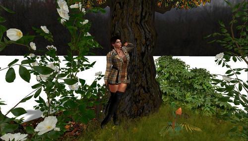 Web 5e1b7663d9859c01aeecc72e