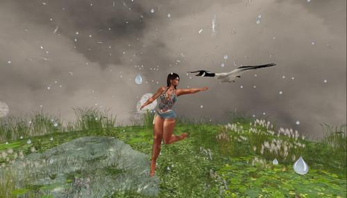 Web 5e1b81b0289dd2308b977e46