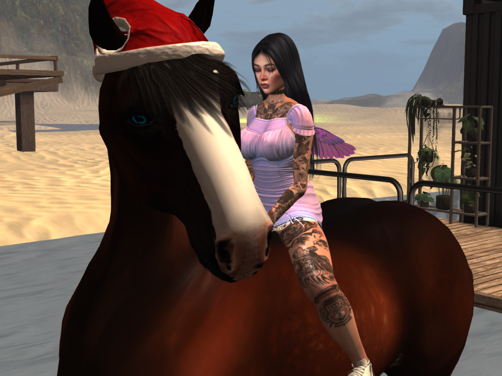 Original 61a3f117df72f823b66721b4