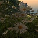 Thumb 5e9ce262d774f822ab29e566