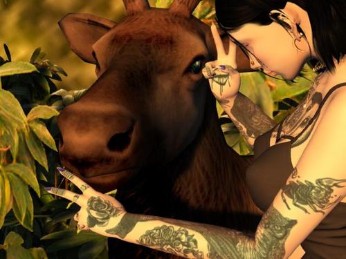 Web 5d59395d73ed175d07000001