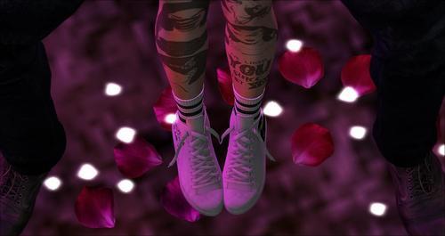 Web 5eb47aa8289dd224a0a116f6