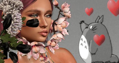 Web 618afe94c1de787e7a44ac29