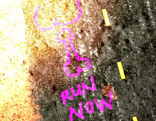 Web 619189d9a4e6d377d91c6fcf