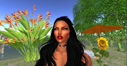 Web 5cc03ea5d774f86de1000001