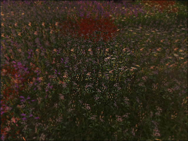 Original 5e5b1d4173ed177a3a6b463d