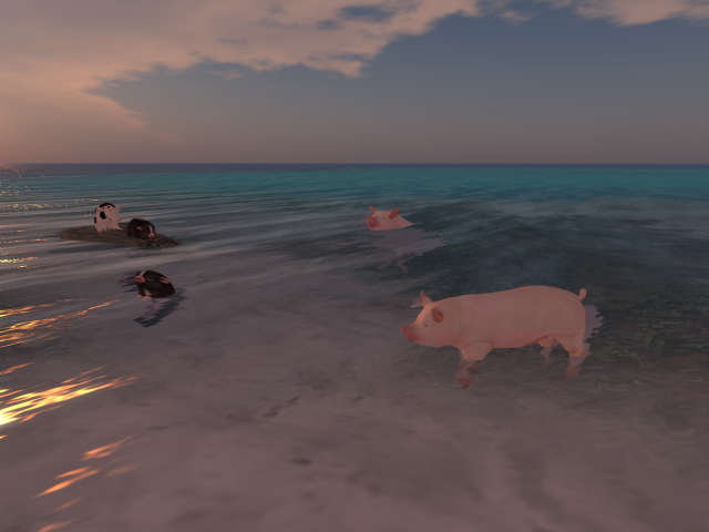 Original 62803b0c972bb606155db03b