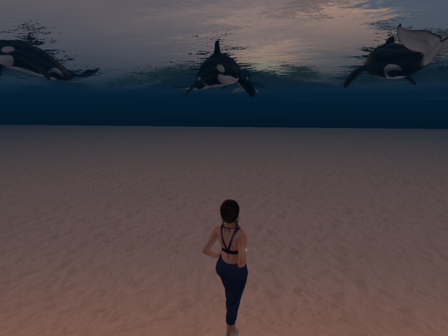 Original 628d7a0b98366d72a6423edf