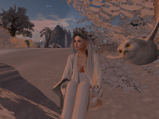 Original 638136ed9ec08713f15a6c1d