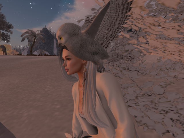 Original 63814867beaa353f0878a98f