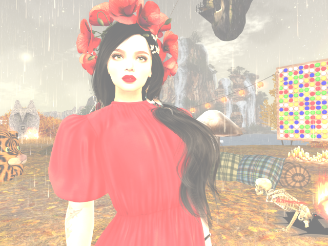 Original 671d46573ddf1e1017c0695e