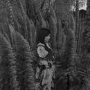 Thumb 5e21616a289dd2726a326674