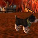 Thumb 5e2dafd7d9859c662ae8fc5d