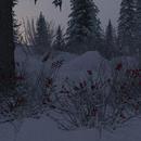 Thumb 5e35c63fd774f84eb21ed69b