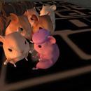 Thumb 5e3ae21073ed1703e7c28c8c