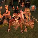 Thumb 631bb11ef07000079801dfeb