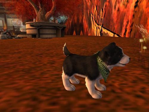 Web 5e2dafd7d9859c662ae8fc5d