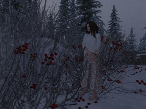 Web 5e35c691d9859c3980e8fc5d