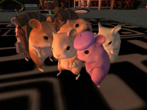 Web 5e3ae078d774f826523c3646