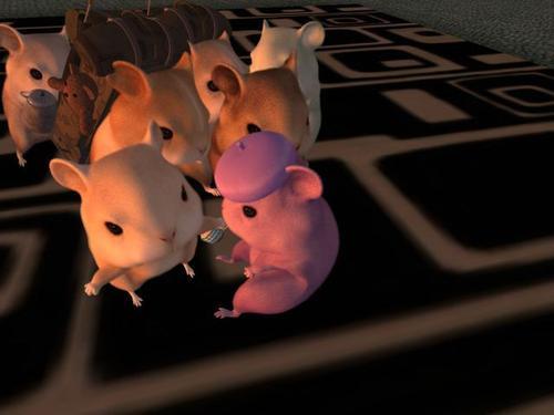 Web 5e3ae21073ed1703e7c28c8c