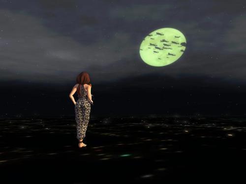 Web 5e4edb9673ed171b956b463d