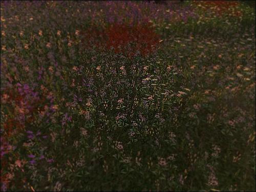 Web 5e5b1d4173ed177a3a6b463d