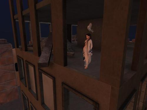 Web 627d7106972bb6793d5db03b