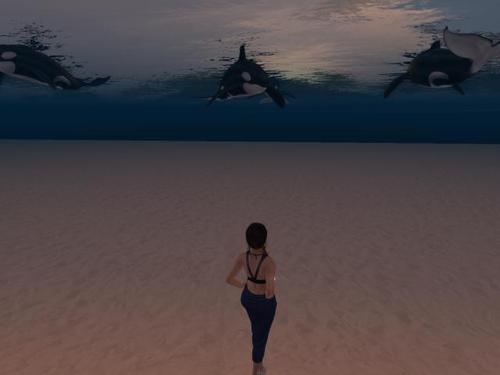 Web 628d7a0b98366d72a6423edf