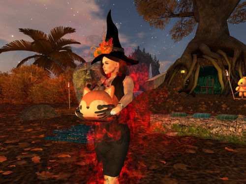 Web 635af83528f17b2bed254aab