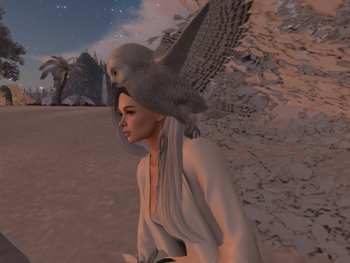 Web 63814867beaa353f0878a98f