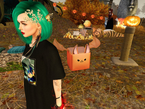 Web 671408fbbfc4546e1fd0fec0