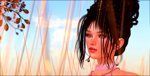 Web 6632e2aed0ae2a3877c26005