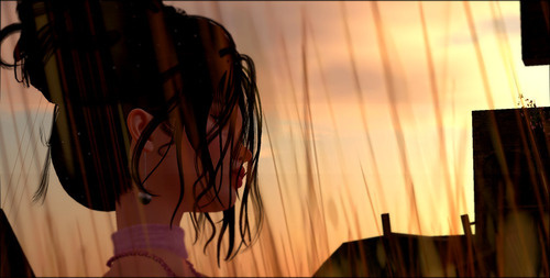 Web 6632e3414fa27c46ab4e126b