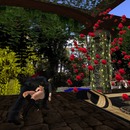 Thumb 5882c9e8f8a1ec15fd000001