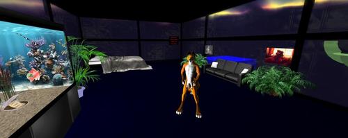 Web 5cc0cd3d73ed1777e7000001