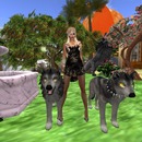 Thumb 56aa3f0476408b3281000001